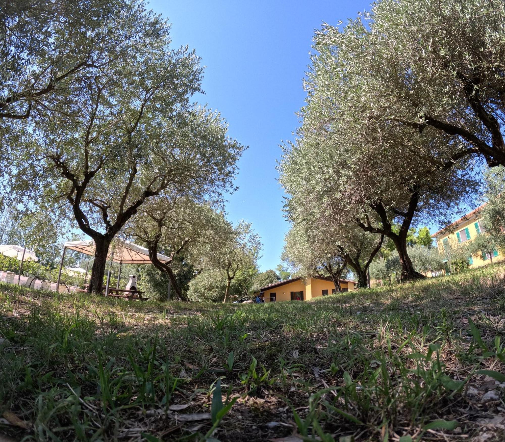 Agriturismo Gardenali Volta Mantovana Phòng bức ảnh