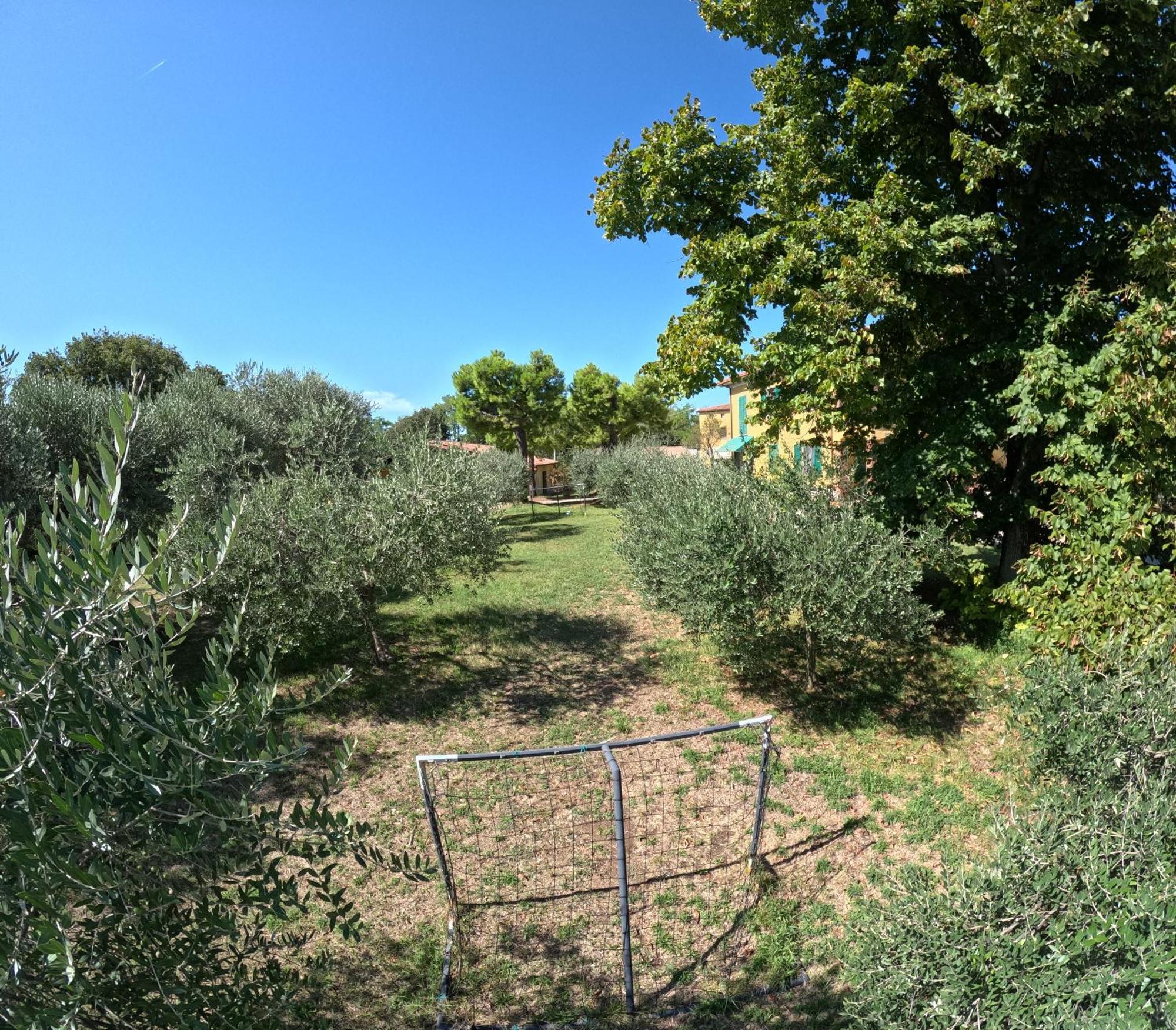 Agriturismo Gardenali Volta Mantovana Ngoại thất bức ảnh