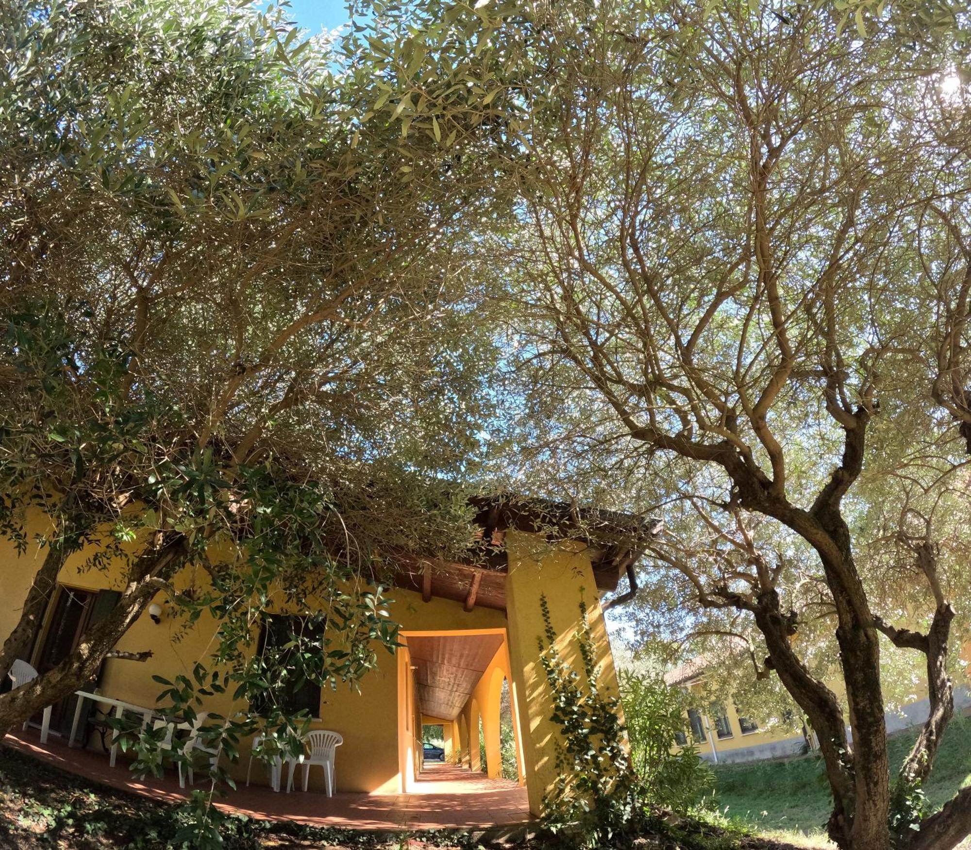 Agriturismo Gardenali Volta Mantovana Ngoại thất bức ảnh