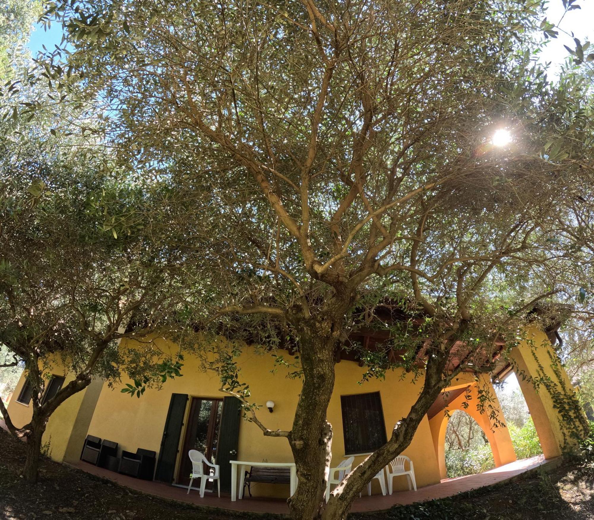 Agriturismo Gardenali Volta Mantovana Phòng bức ảnh